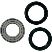 BEARING WHEEL KT FRT SUZ