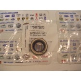 SHAFT SEAL RING 17X28X7 B