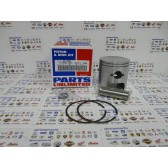 PISTON ASSY  ARCTIC +020