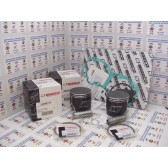 PISTON KIT SKI DOO W/BRG
