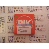 RING SET .25MM POL 500