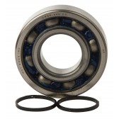 BEARINGS CRANK K081
