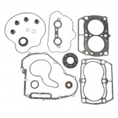 GASKET KT COM W/SLS POL