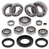 BEARING KIT DIFF RR POL