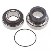 CHAINCASE BEARING-SEAL KT