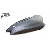 WSCREEN 10 Z1000 ST DSMK