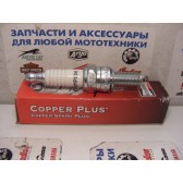CHAMPION SPARK PLUG RG6YC