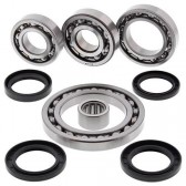 REAR DIFFERENTIAL BEARING AND SEAL KIT