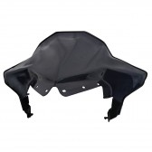 ASM-WINDSHIELD MID SMOKE