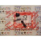 REP.SET PISTON D=11 EXC   2001