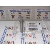 SPECIAL SCREW M10X55     WS=17