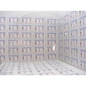 WINDSHIELD, STANDART