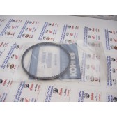 66 203 01-S BELT, WATER PUMP