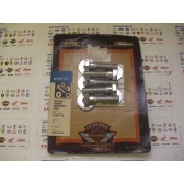 REAR SPROCKET CHROME HD