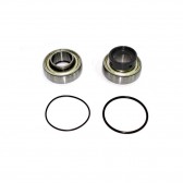 SPI, CHAIN CASE BEARING KIT