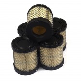 4250 AIR FILTER (5 X 798897)