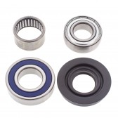 TRACK DRIVE SHAFT BEARING & SEAL