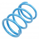 PRIMARY DRIVE CLUTCH SPRING