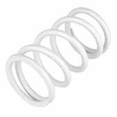 PRIMARY DRIVE CLUTCH SPRING