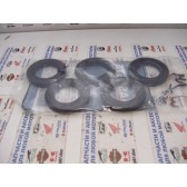 L84-08BT IN PRI BEAR SEAL