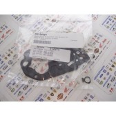 REPL.GASKETS F/DS-194061