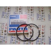 RING SET, POLARIS +040