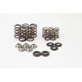 VALVE SPRING KIT RPTR660