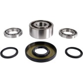 DIF BEARING & SEAL KIT FR