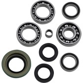DIF BEARING & SEAL KIT RR