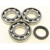 CRANKSHAFT BEARING/SEAL KIT